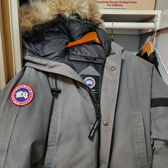 Canada goose - Picture 5 of 5